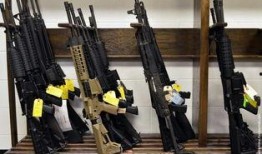 美国枪店最新爆料,揭秘枪支市场惊人内幕