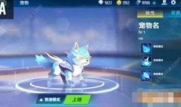 飞车宠物爆料最新信息,神秘宠物即将登场，玩法大揭秘！