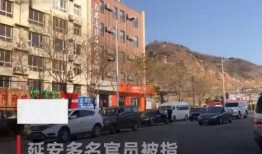 陕西最新爆料延安,揭秘陕西红色革命老区的最新发展动态