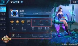 王者新天幕爆料最新版,揭秘神秘新版本，畅享全新游戏体验