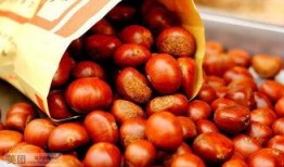 栗子最新爆料,揭秘娱乐圈最新热点事件