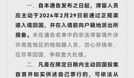 缅北最新爆料消息今天,最新爆料揭示神秘势力动向